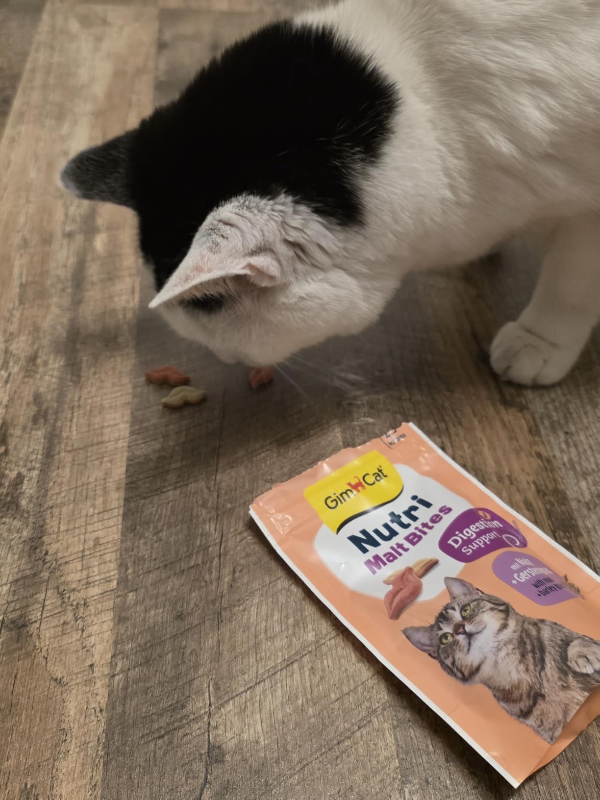 Auch für mäkelige Katzen