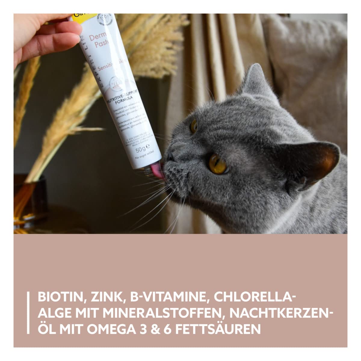 gimcat-expert-line-derma-paste-katzensnack-50-g image 4