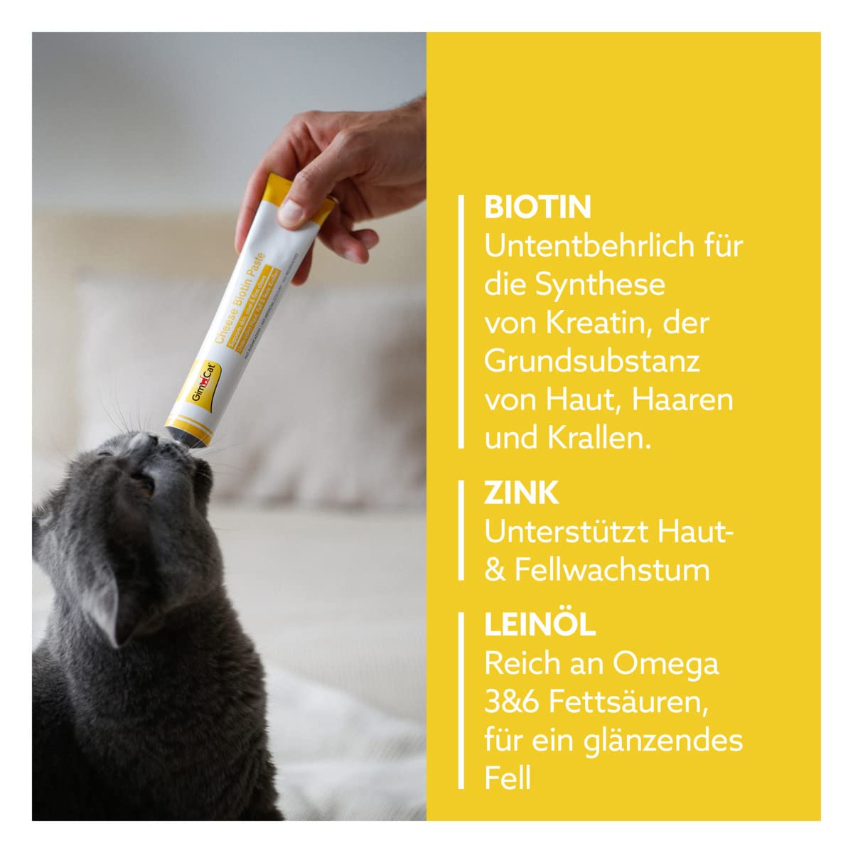 gimcat-cheese-biotin-paste-katzenpaste-50-g image 3