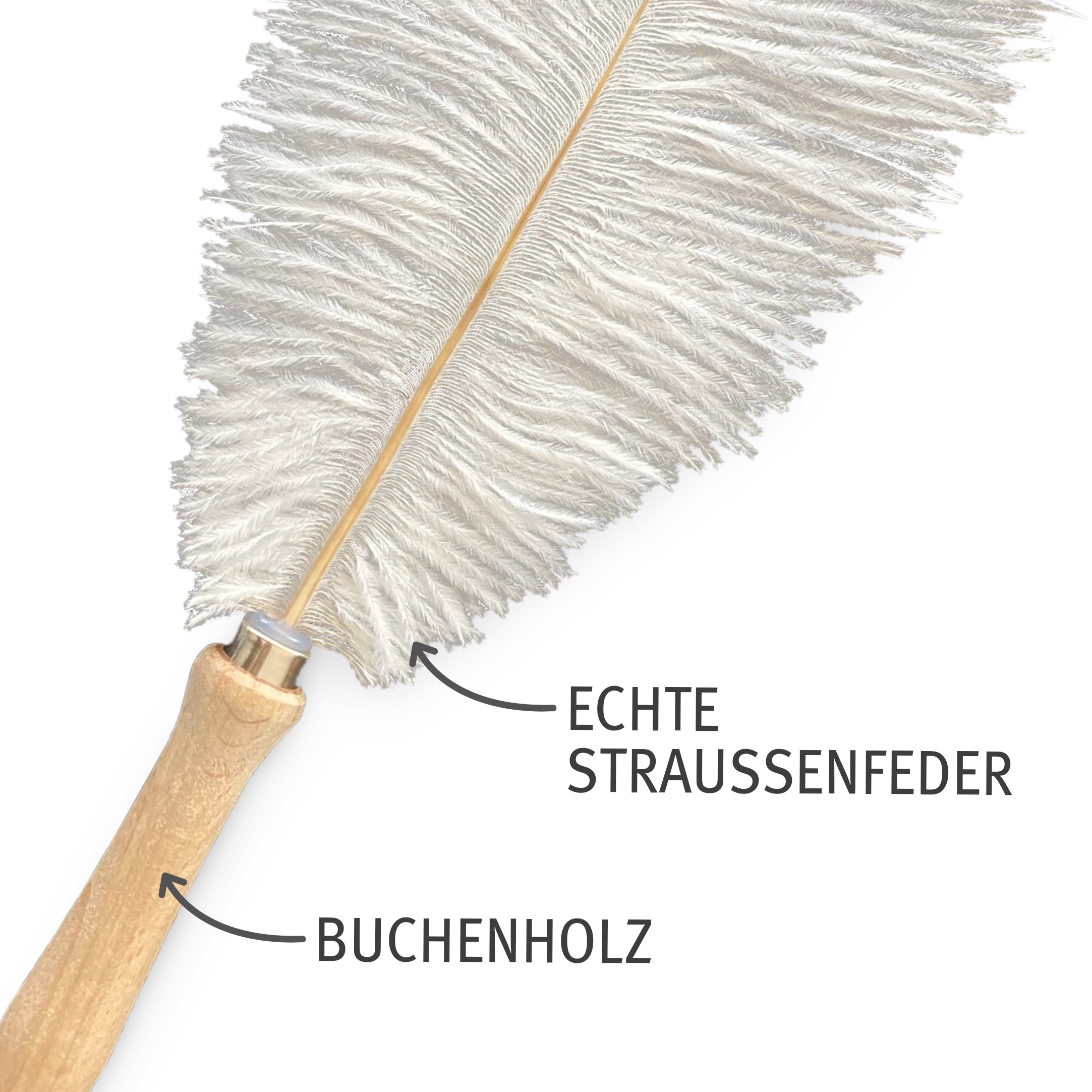 kater-kasimir-federwedel-mit-strau-enfeder image 4