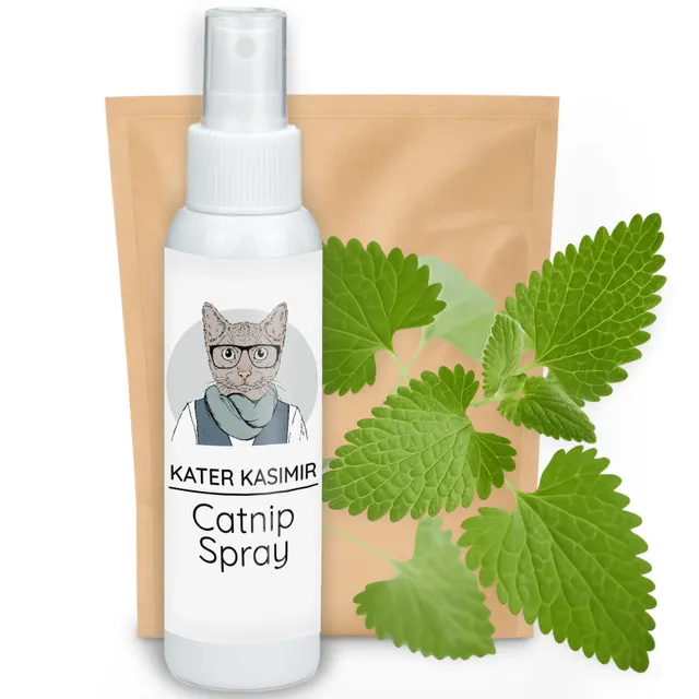 kater-kasimir-xl-minze-spray-100-ml-katzenminze-hydrolat image 1