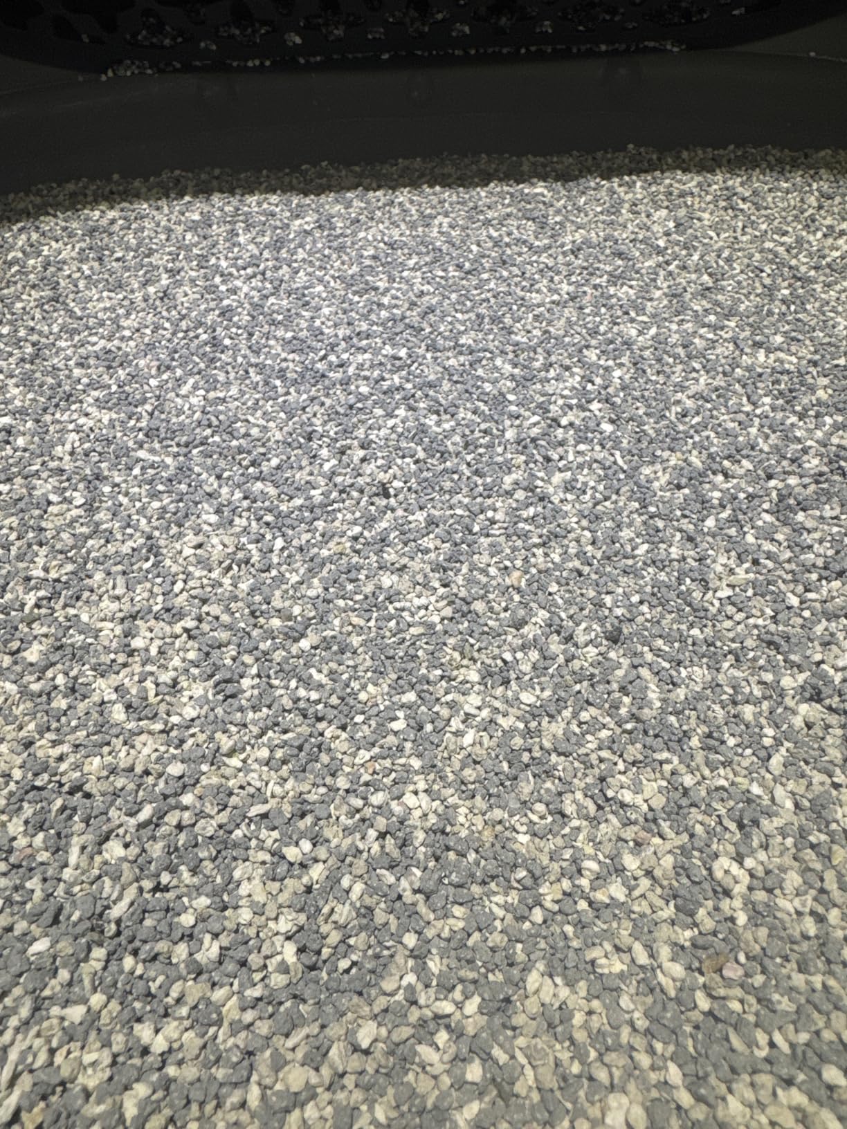 Für Allergiker super