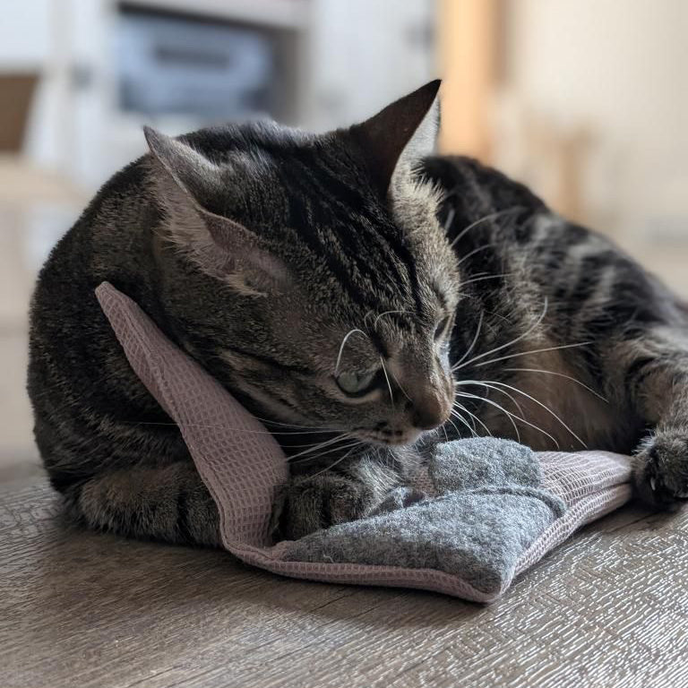 kater-kasimir-mausbert-mit-bio-baldrian-2-in-1-spielkissen-und-spielmaus image 6