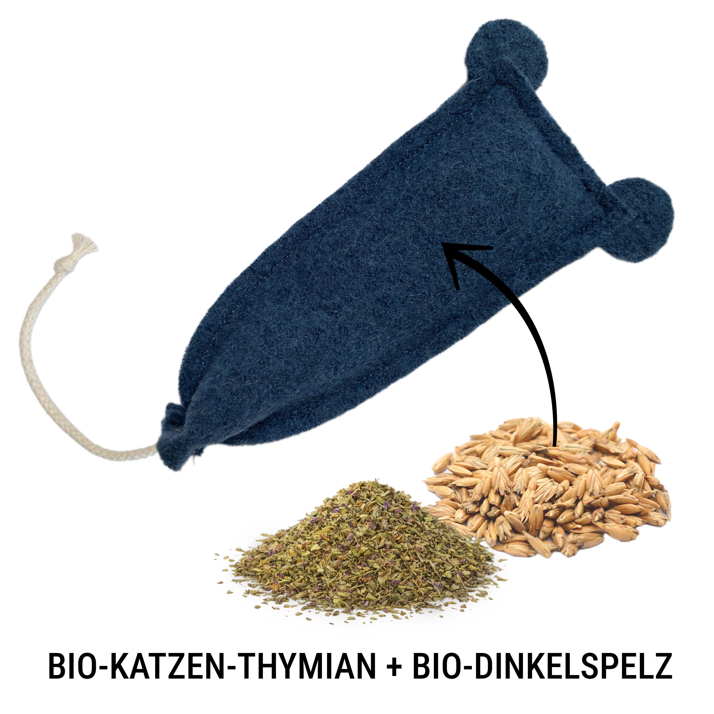 kater-kasimir-m-userich-mit-katzen-thymian image 3