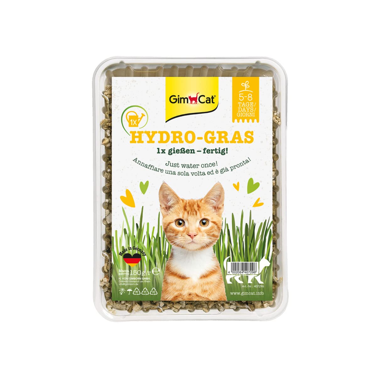gimcat-hydro-gras-katzengras-schale-150-g image 7