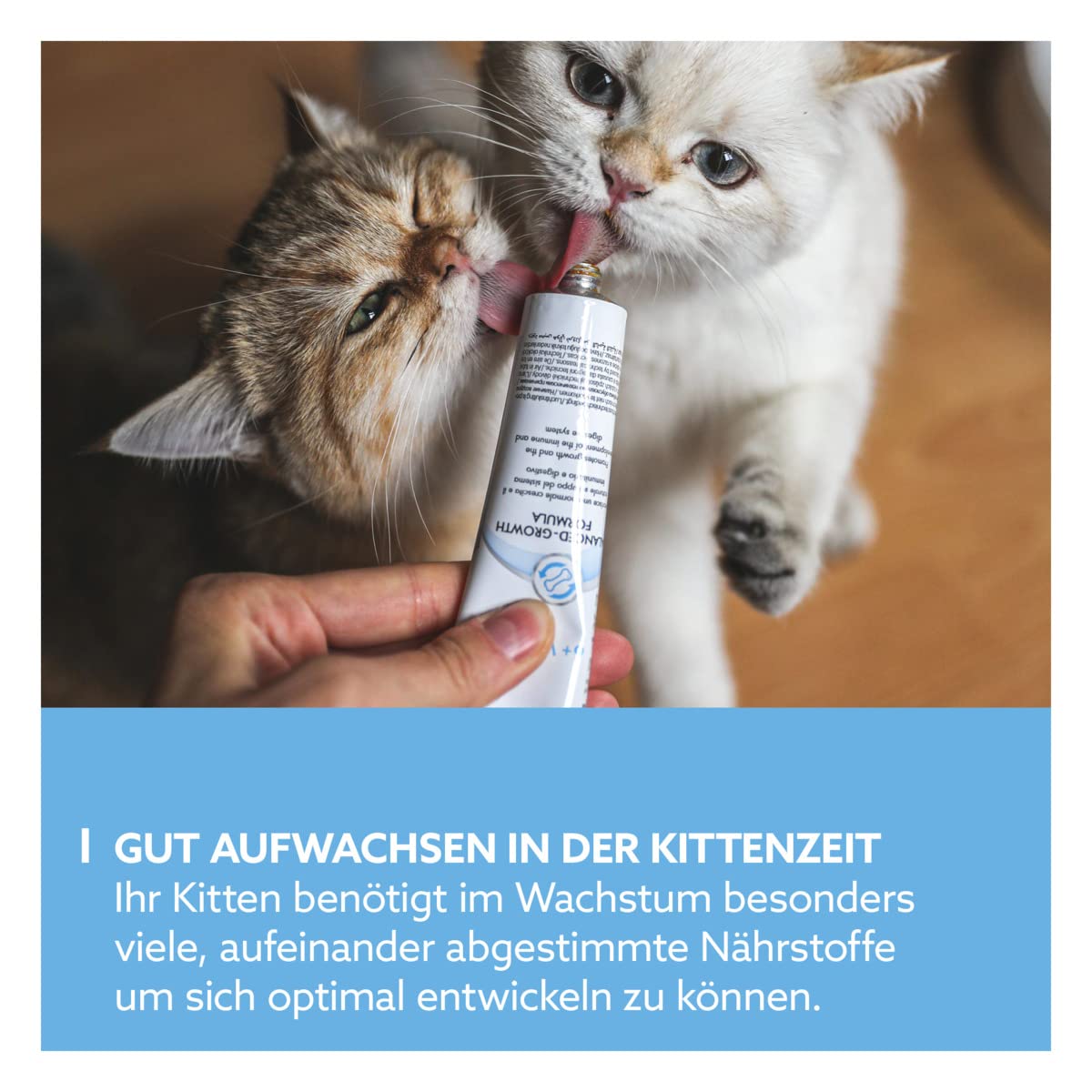 gimcat-expert-line-kitten-paste-f-r-junge-katzen-50-g-tube image 3