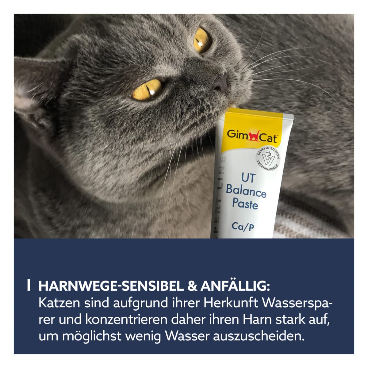 gimcat-expert-line-ut-balance-paste-50-g image 4