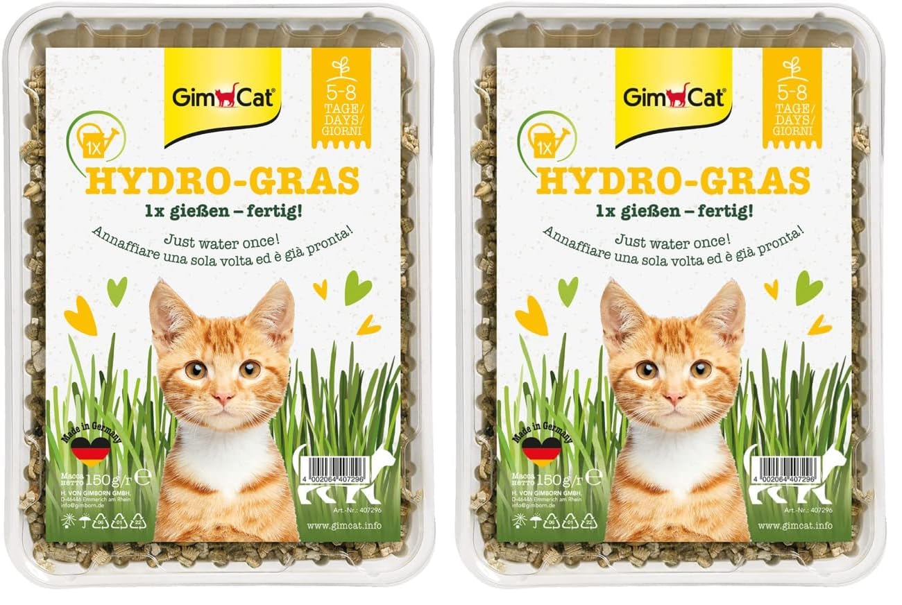 gimcat-hydro-gras-katzengras-schale-150-g image 1