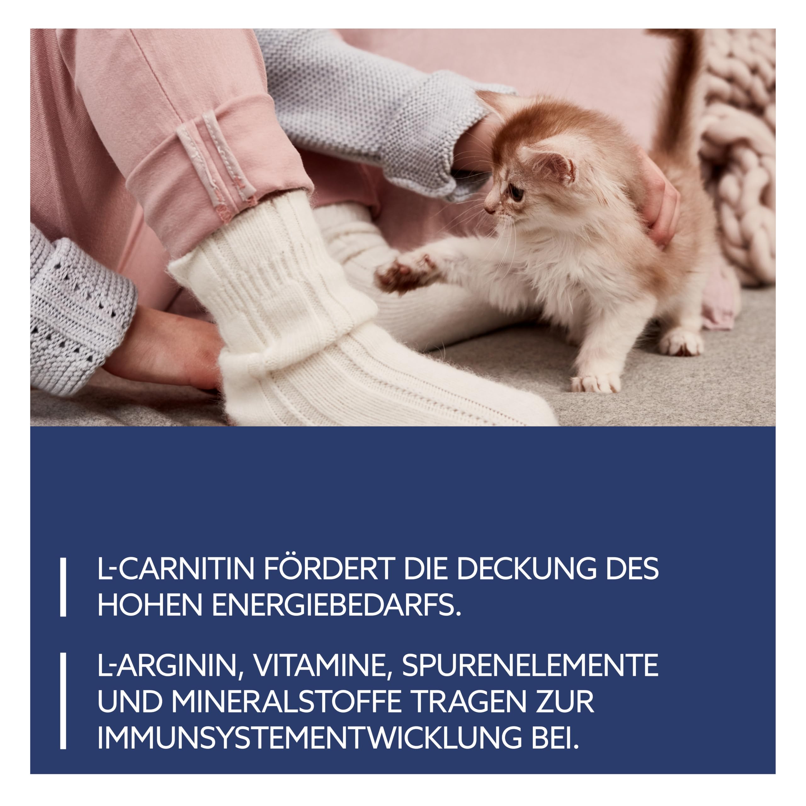 gimcat-expert-line-kitten-goat-milk-aufzuchtmilch-ziegenmilchpulver-200-g image 5