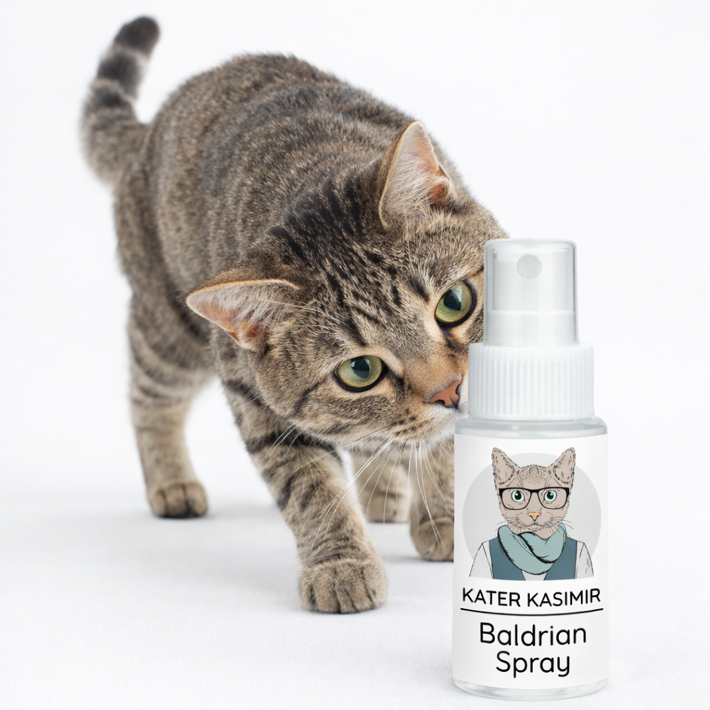kater-kasimir-baldrian-spray-30-ml-nat-rliches-spielspray-aus-pflanzenwasser image 2