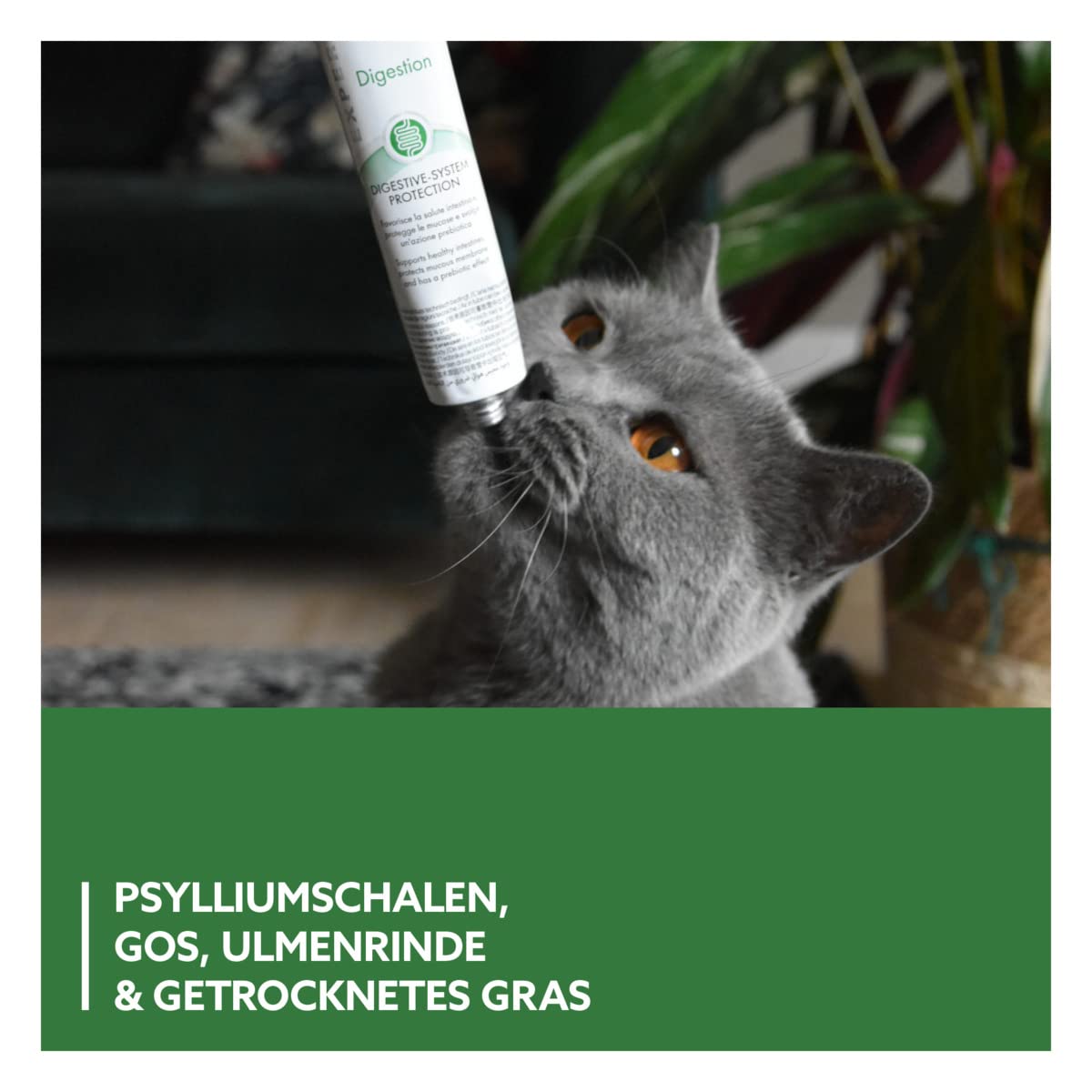 gimcat-expert-line-gastro-intestinal-paste-katze-50-g image 4
