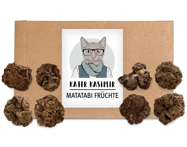 kater-kasimir-matatabi-fr-chte-30g-katzenspielzeug image 1