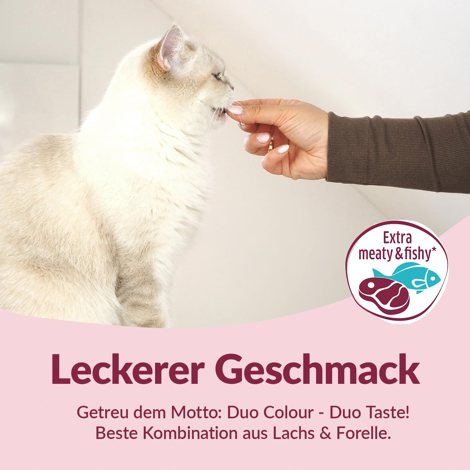 gimcat-duo-soft-snacks-mit-lachs-forelle-50-g image 3