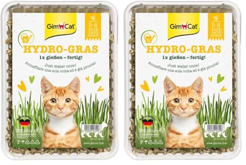 gimcat-hydro-gras-katzengras-schale-150-g image 8