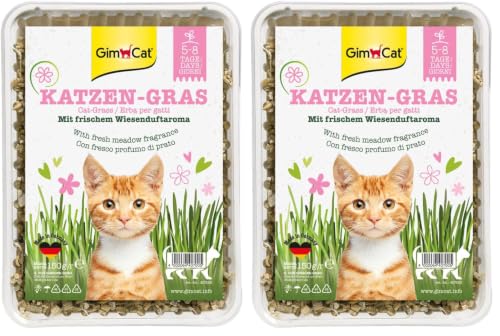gimcat-katzengras-150-g-schale-im-2er-pack image 3