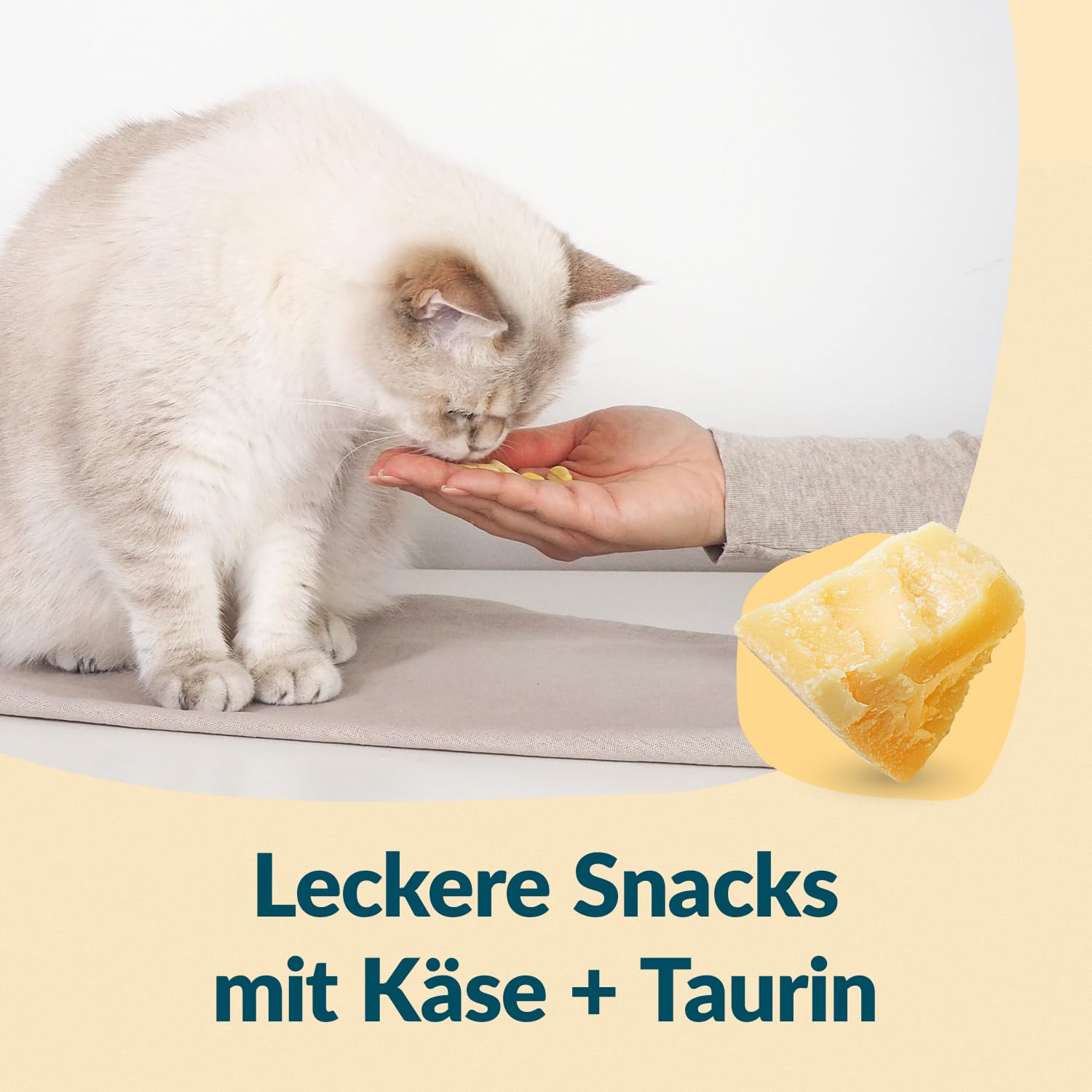 gimcat-nutri-taurine-bites-snack-mit-k-se-425-g image 4