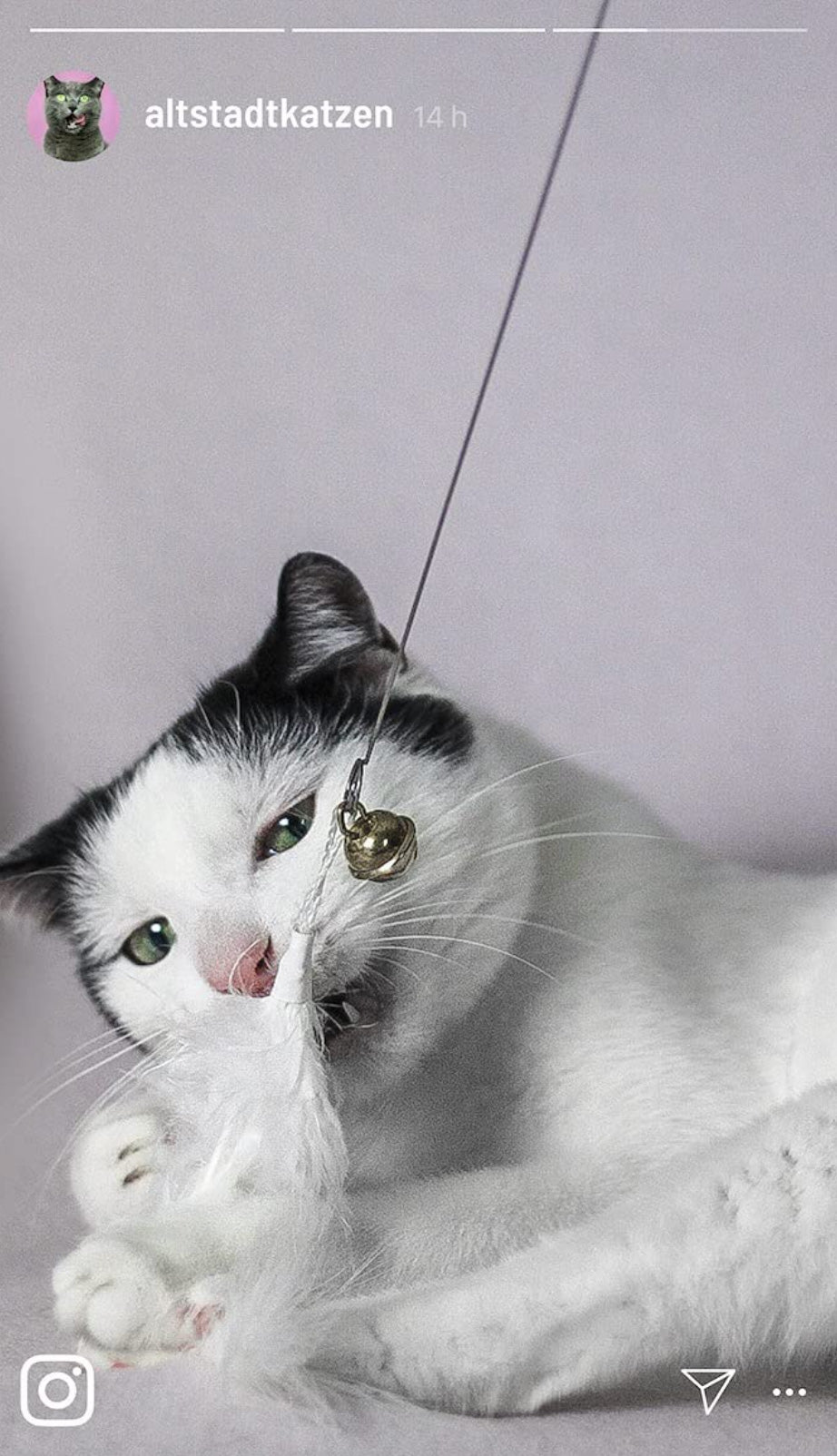 kater-kasimir-katzenangel-set-mit-4-anh-ngern image 6