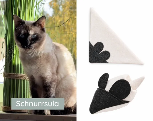 kater-kasimir-mausbert-schnurrsula-spielmaus-mit-matatabi-fr-chten image 1