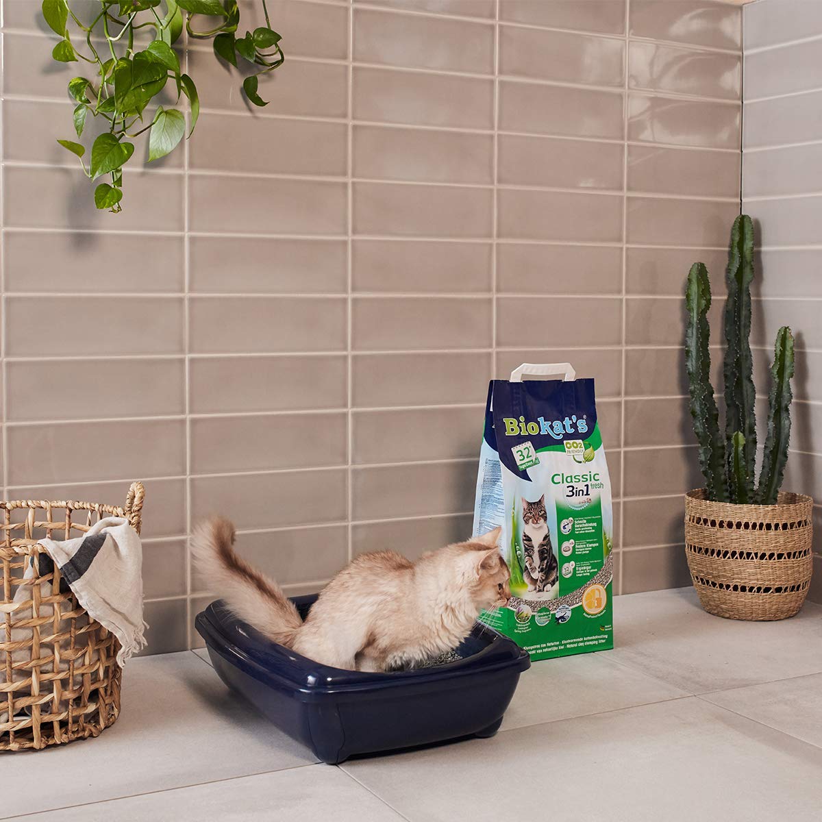 biokat-s-classic-fresh-3in1-katzenstreu-mit-duft-20-l image 5