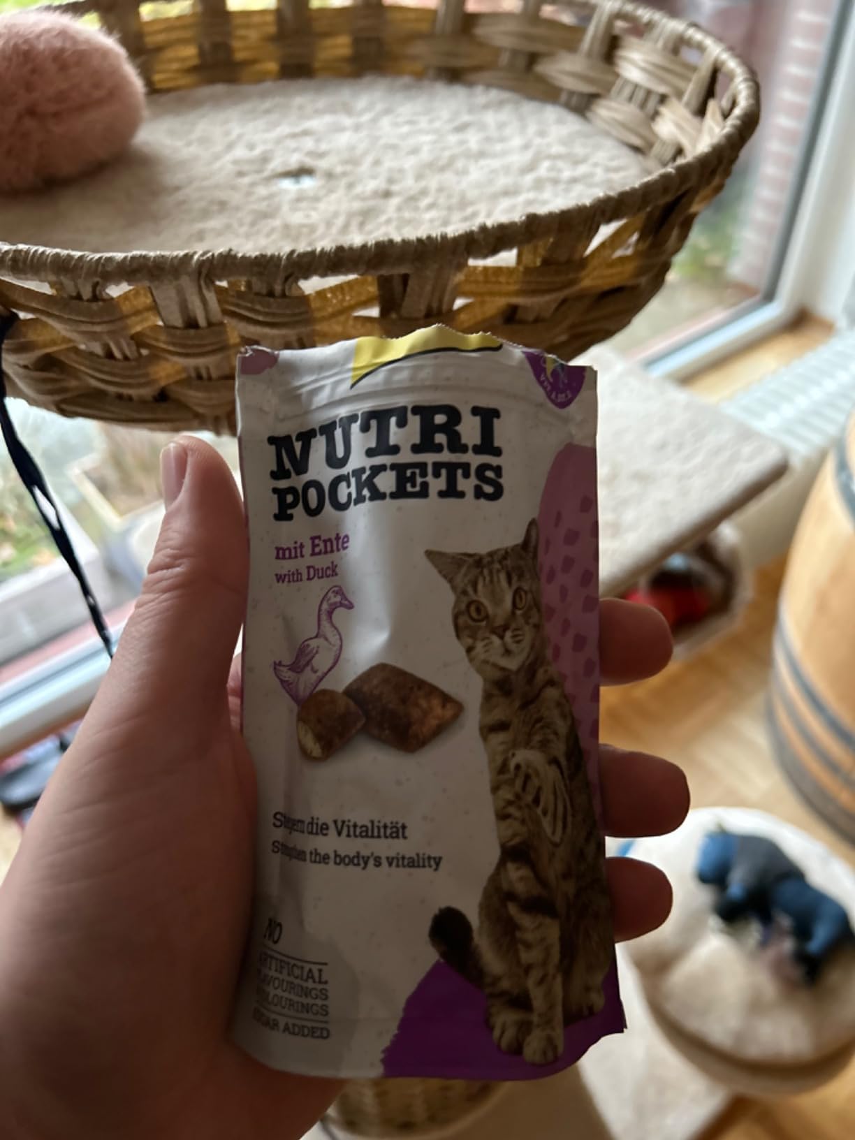 Nicht für unseren Kater