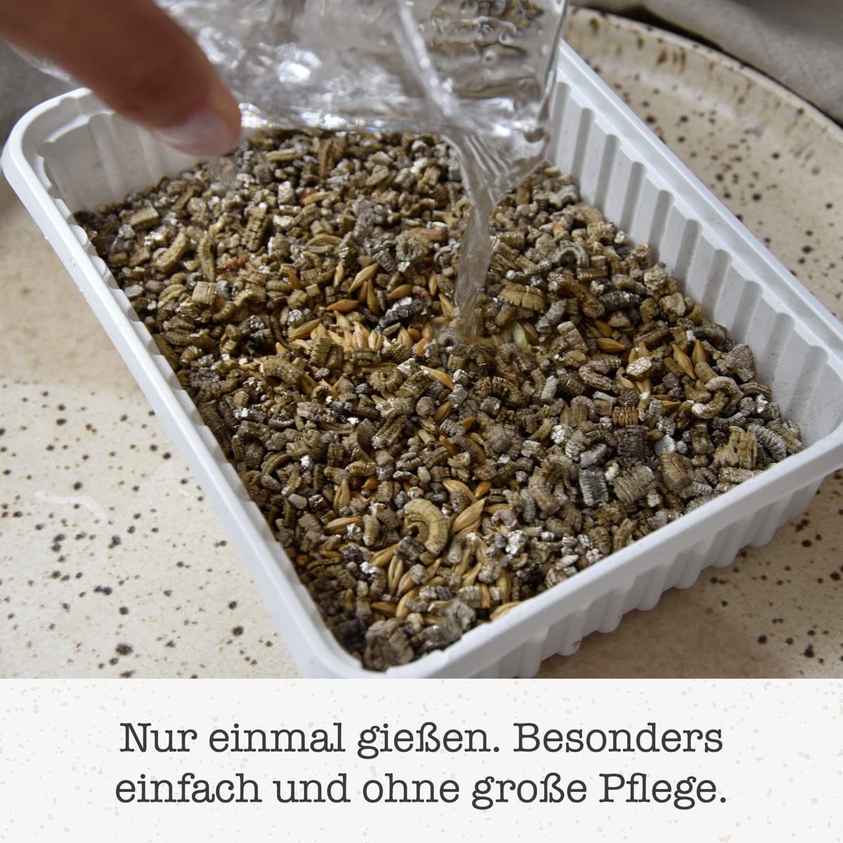 gimcat-hydro-gras-katzengras-schale-150-g image 4