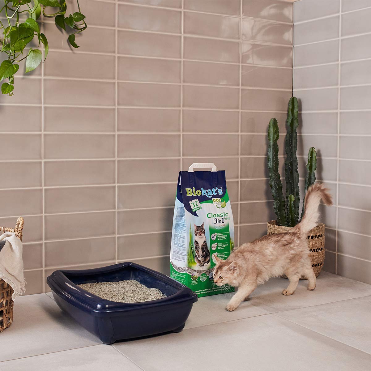 biokat-s-classic-fresh-3in1-katzenstreu-mit-duft-20-l image 7