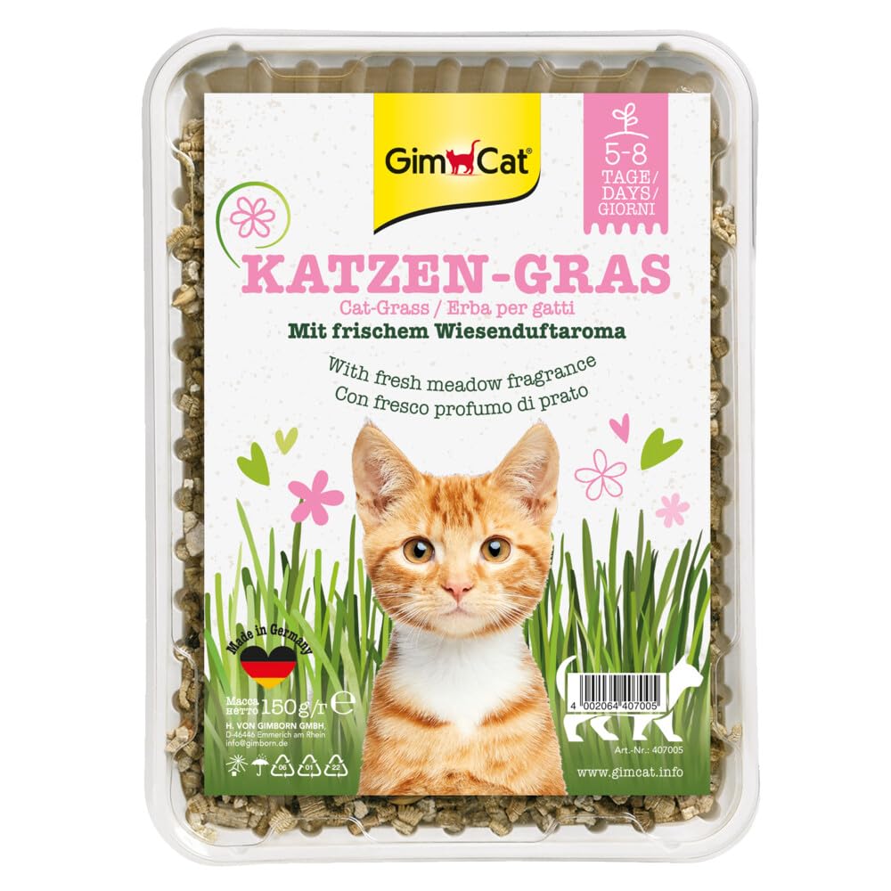 gimcat-katzengras-150-g-schale-im-2er-pack image 2