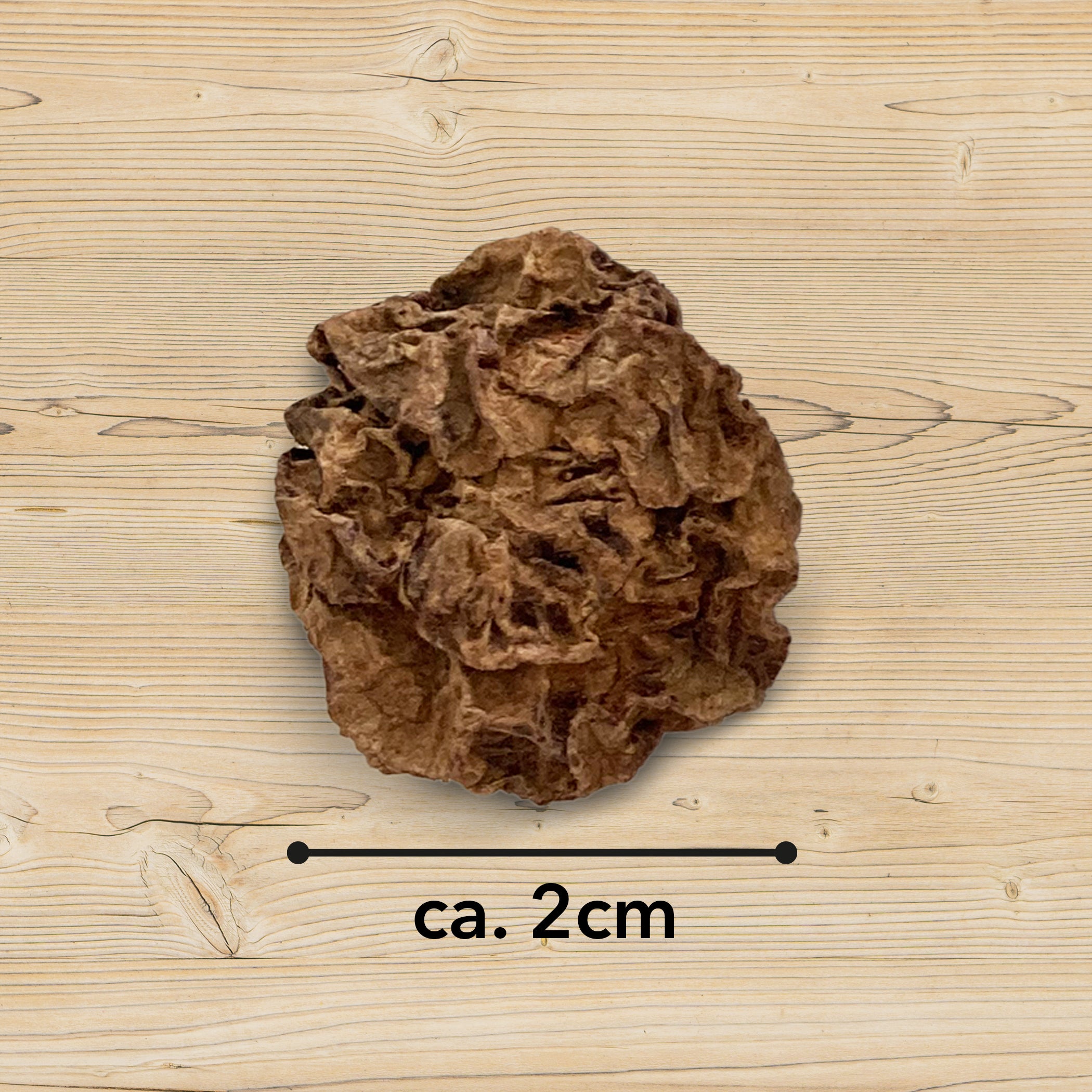 kater-kasimir-matatabi-fr-chte-30g-katzenspielzeug image 3