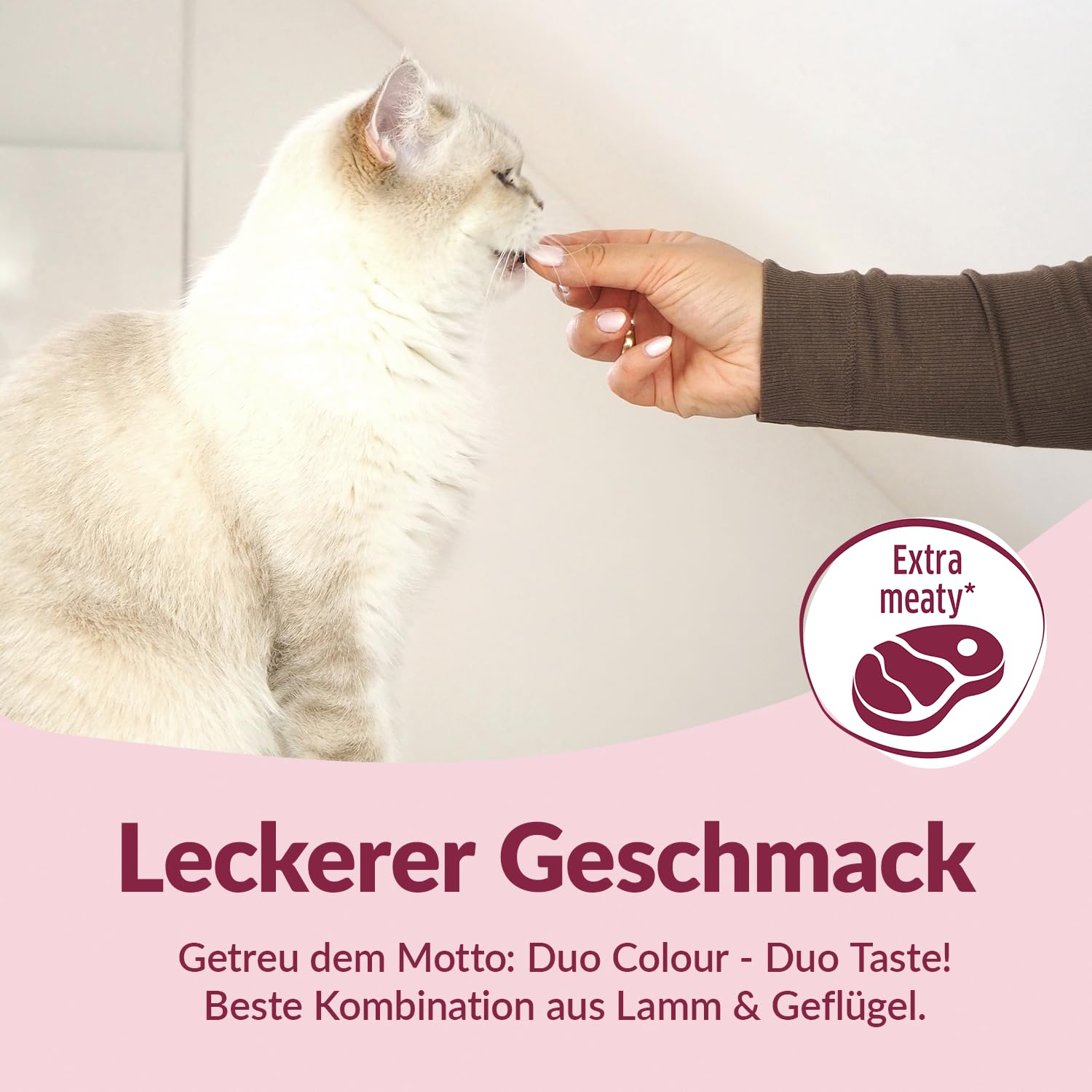 gimcat-duo-soft-snacks-gefl-gel-mit-lamm-50-g image 3