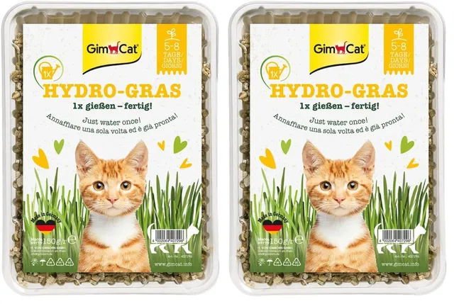 gimcat-hydro-gras-katzengras-schale-150-g image 1