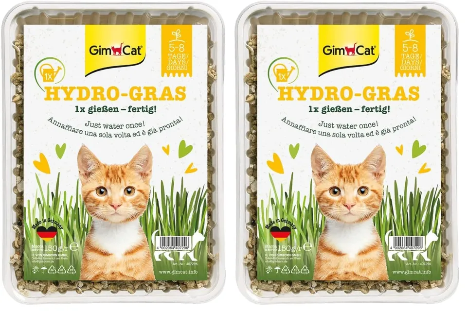 gimcat-hydro-gras-katzengras-schale-150-g image 1