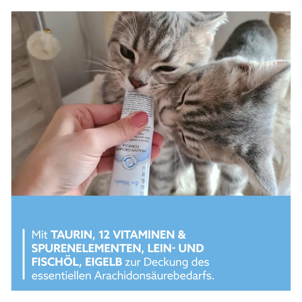gimcat-expert-line-kitten-paste-f-r-junge-katzen-50-g-tube image 4