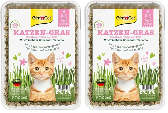 gimcat-katzengras-150-g-schale-im-2er-pack image 1