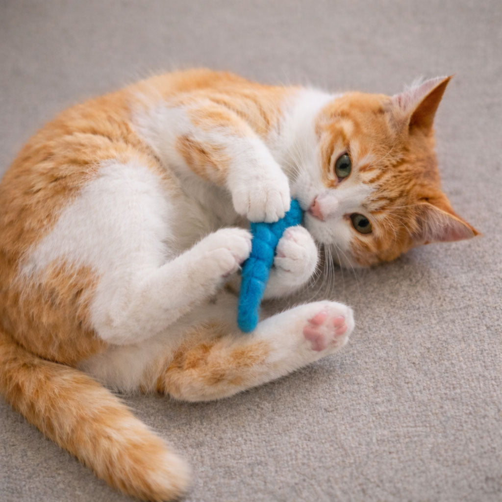 kater-kasimir-3-handgerollte-filzw-rmer-aus-schafwolle image 2