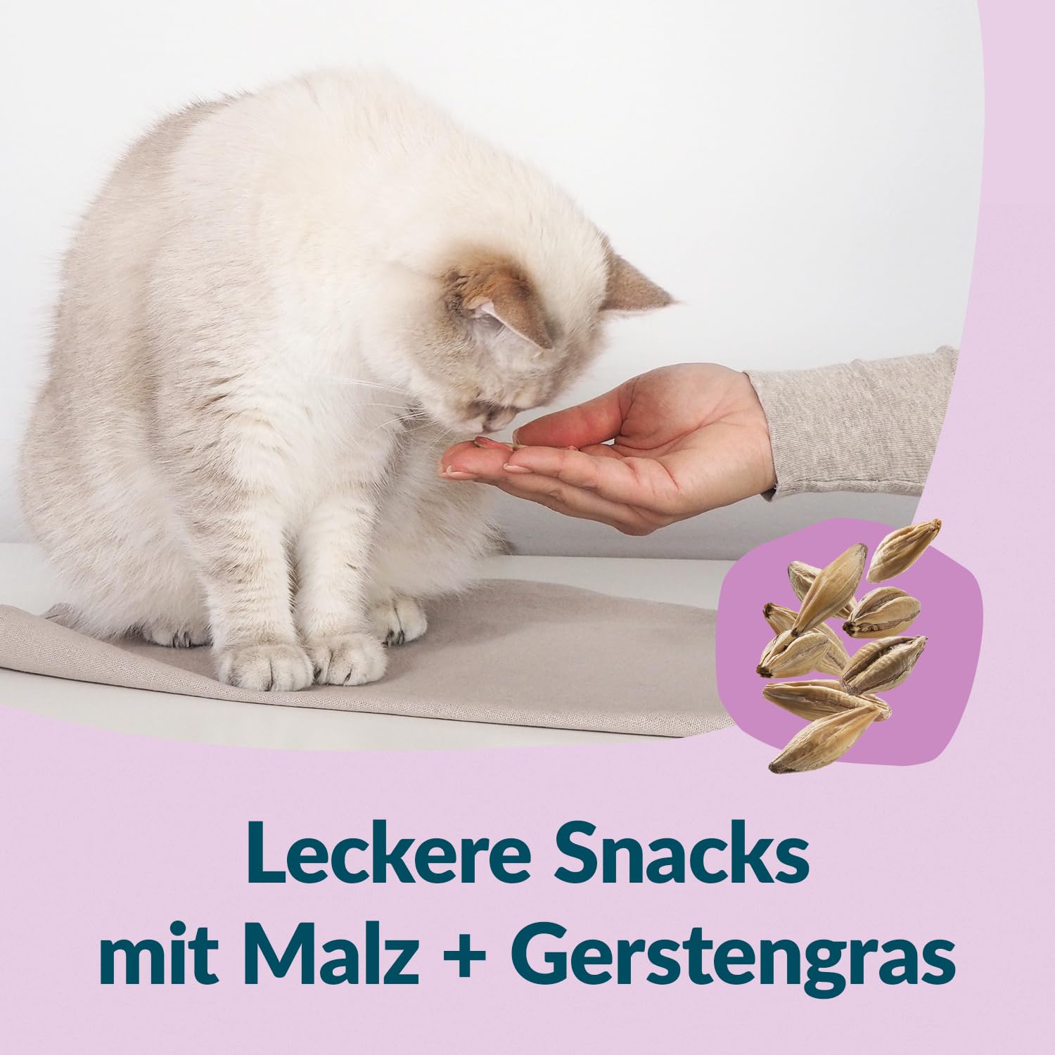 gimcat-nutri-malt-bites-katzensnack-425-g image 4