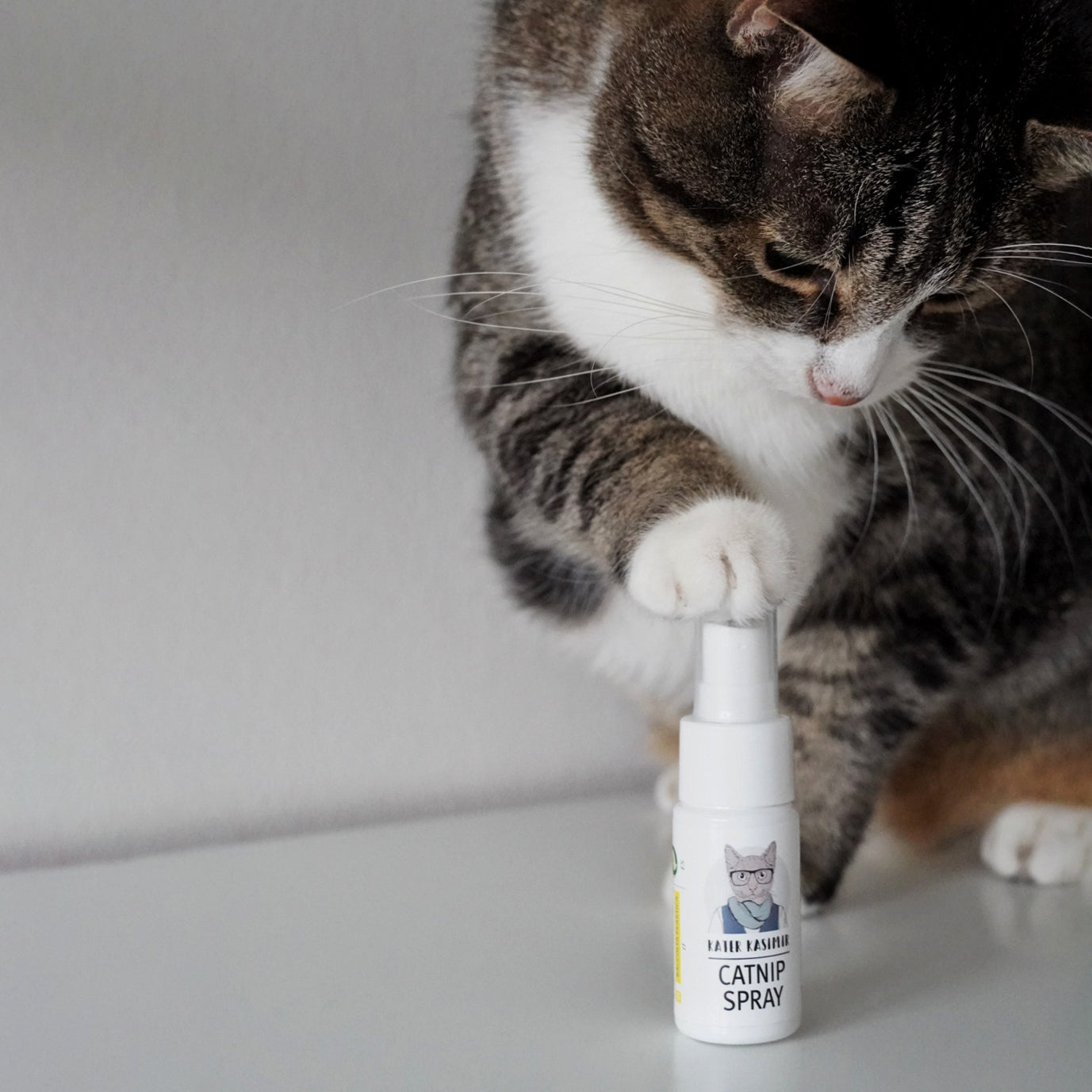kater-kasimir-katzenminze-spray-nat-rliches-hydrolat-30-ml image 4