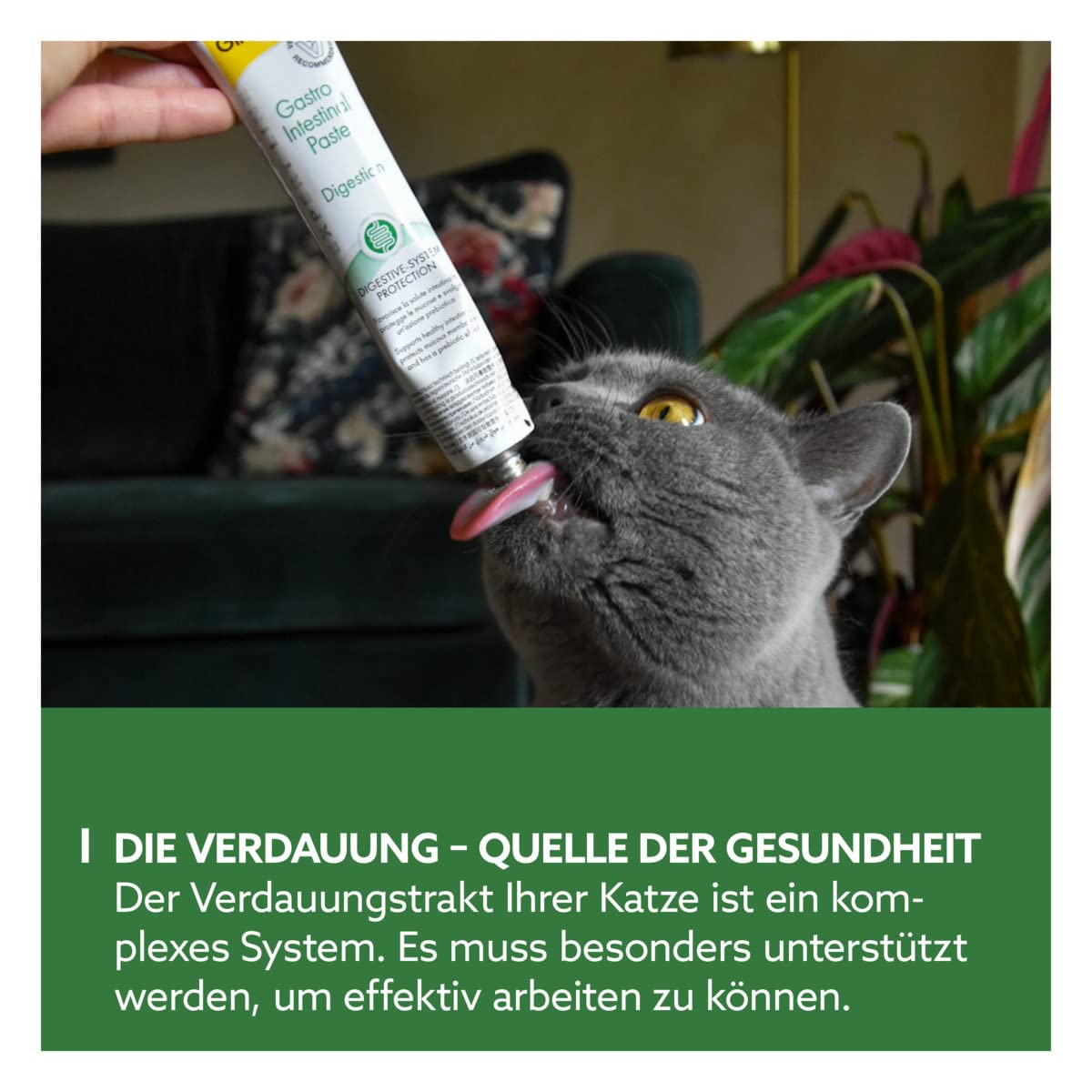 gimcat-expert-line-gastro-intestinal-paste-katze-50-g image 3