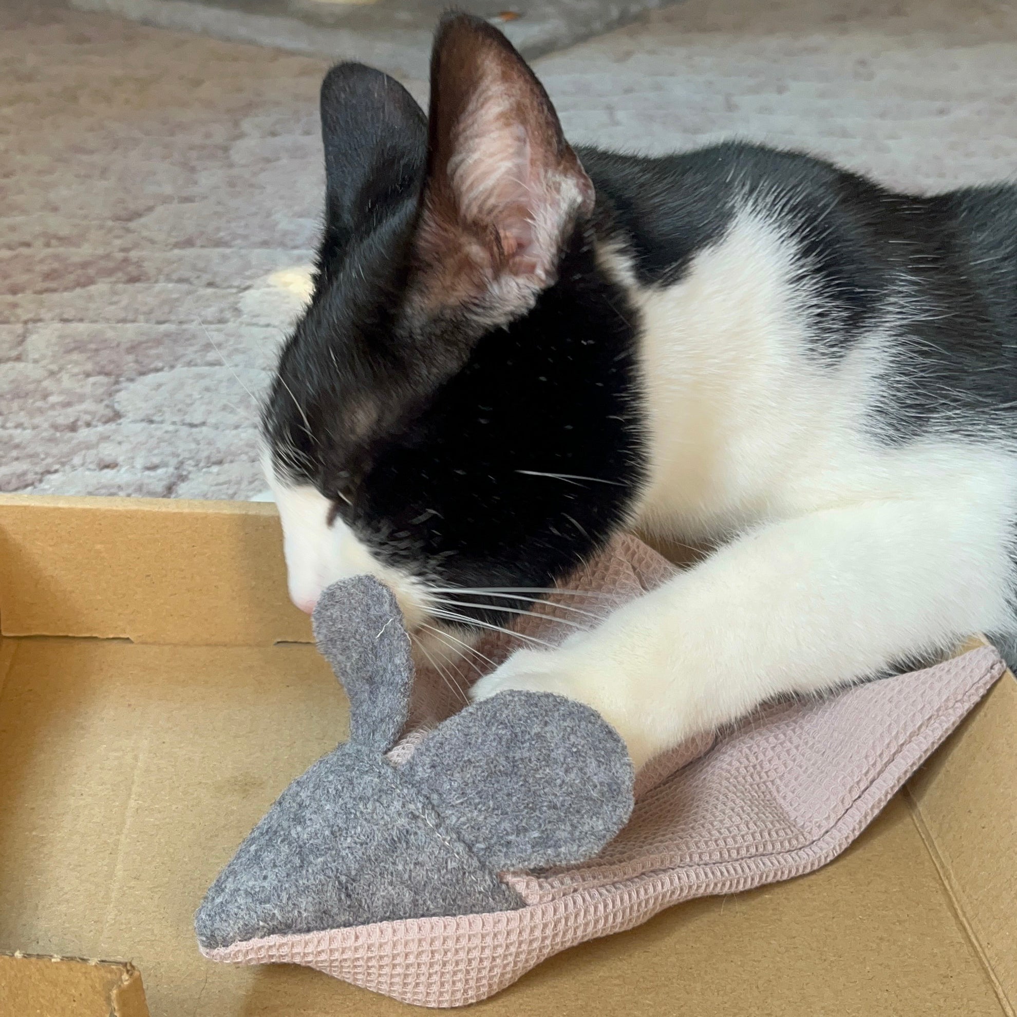 kater-kasimir-mausbert-mit-bio-baldrian-2-in-1-spielkissen-und-spielmaus image 4