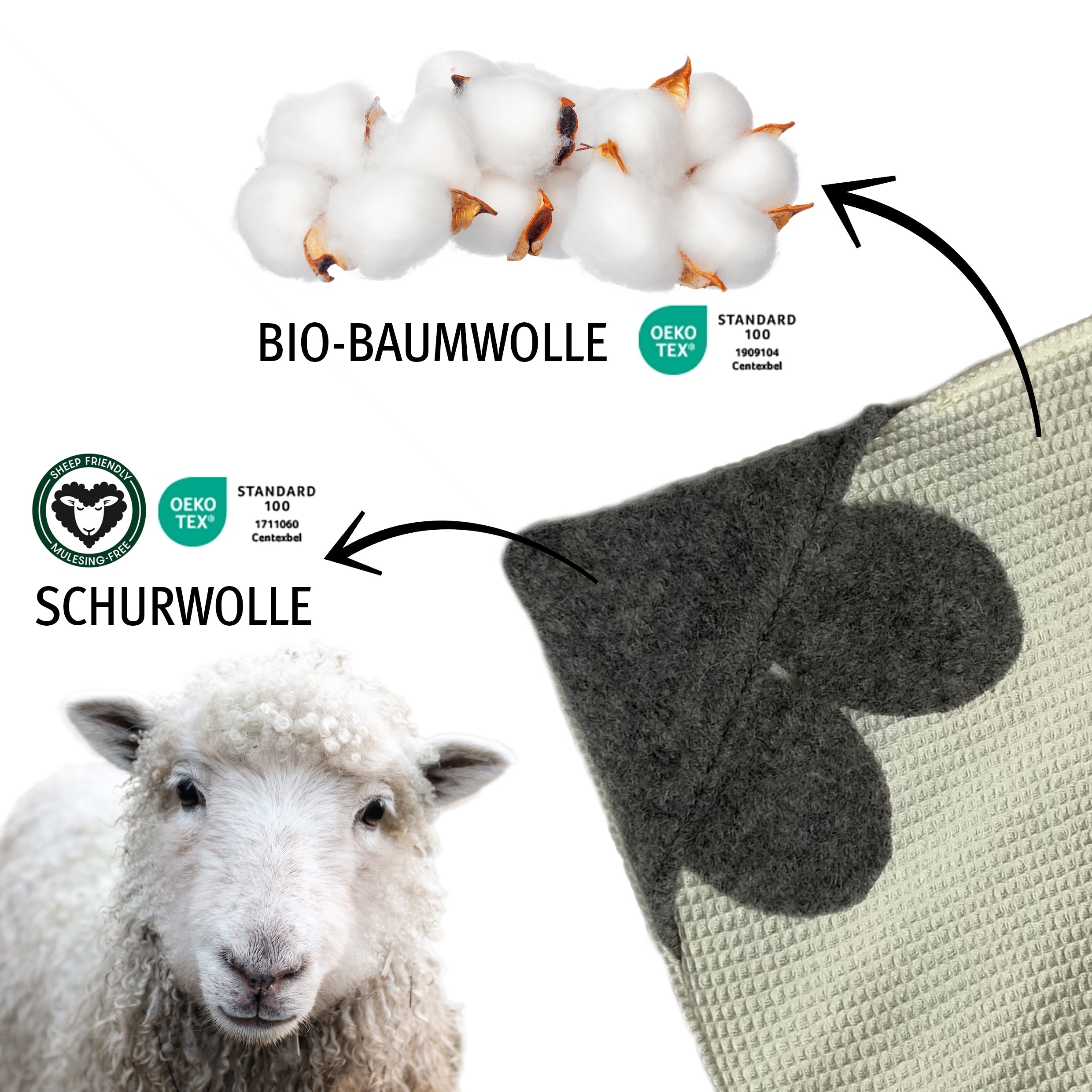kater-kasimir-paket-catnip-lover-5-teiliges-katzenminze-set image 6