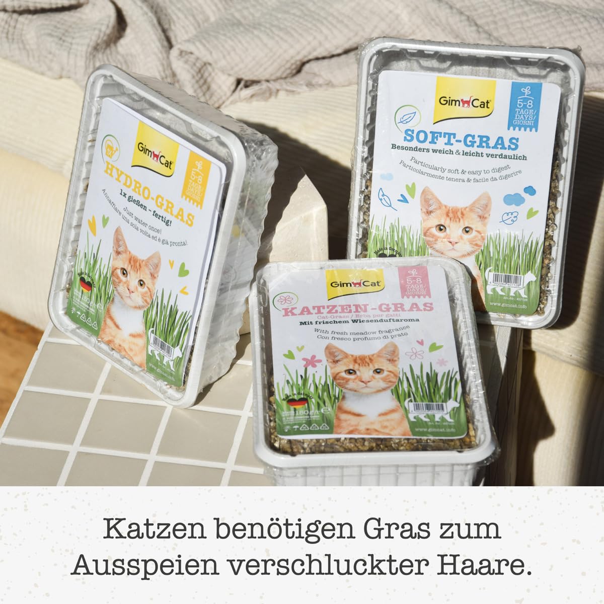 gimcat-soft-gras-katzengras-schale-100-g image 6