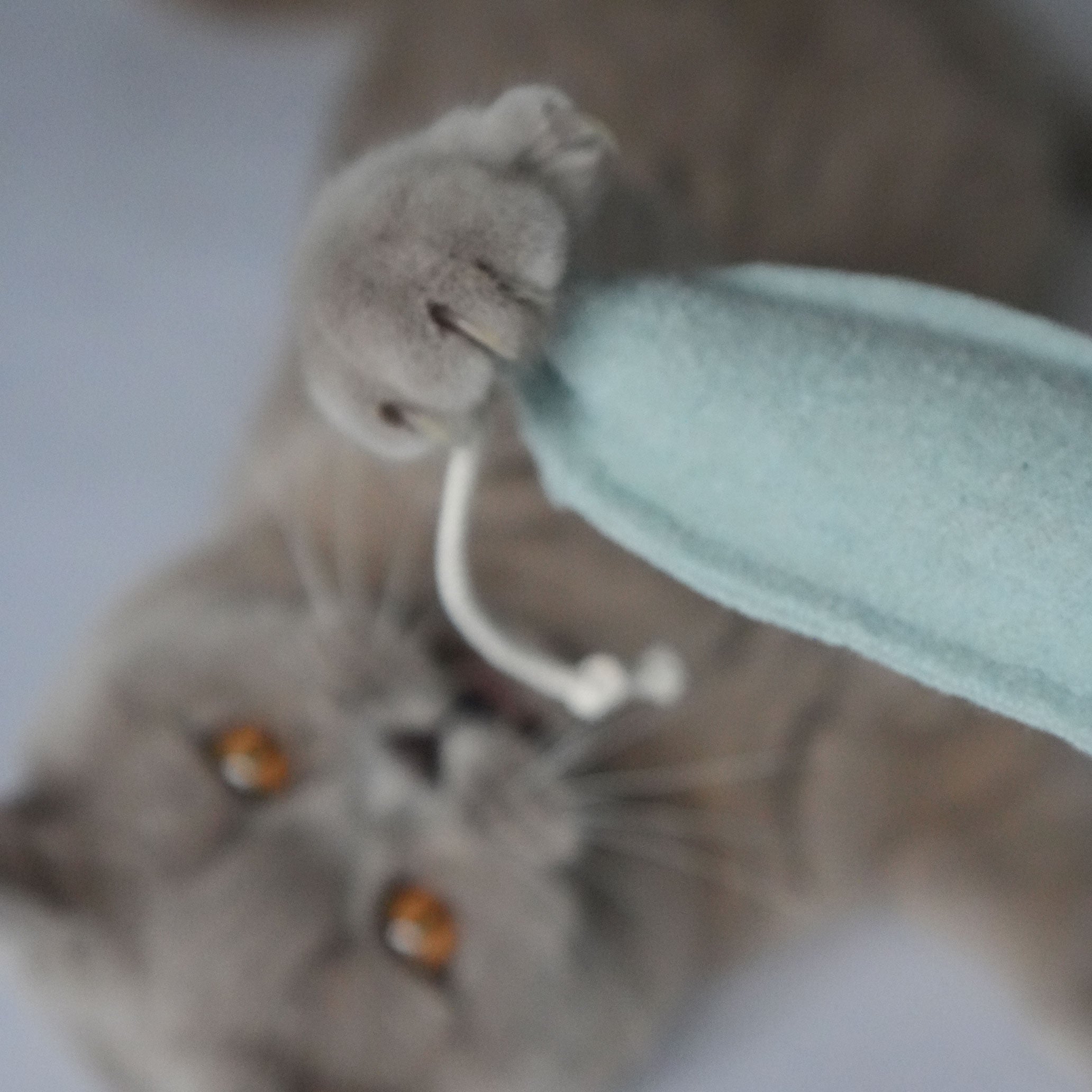 kater-kasimir-m-userich-mit-matatabi-katzenspielzeug-aus-schurwolle image 2