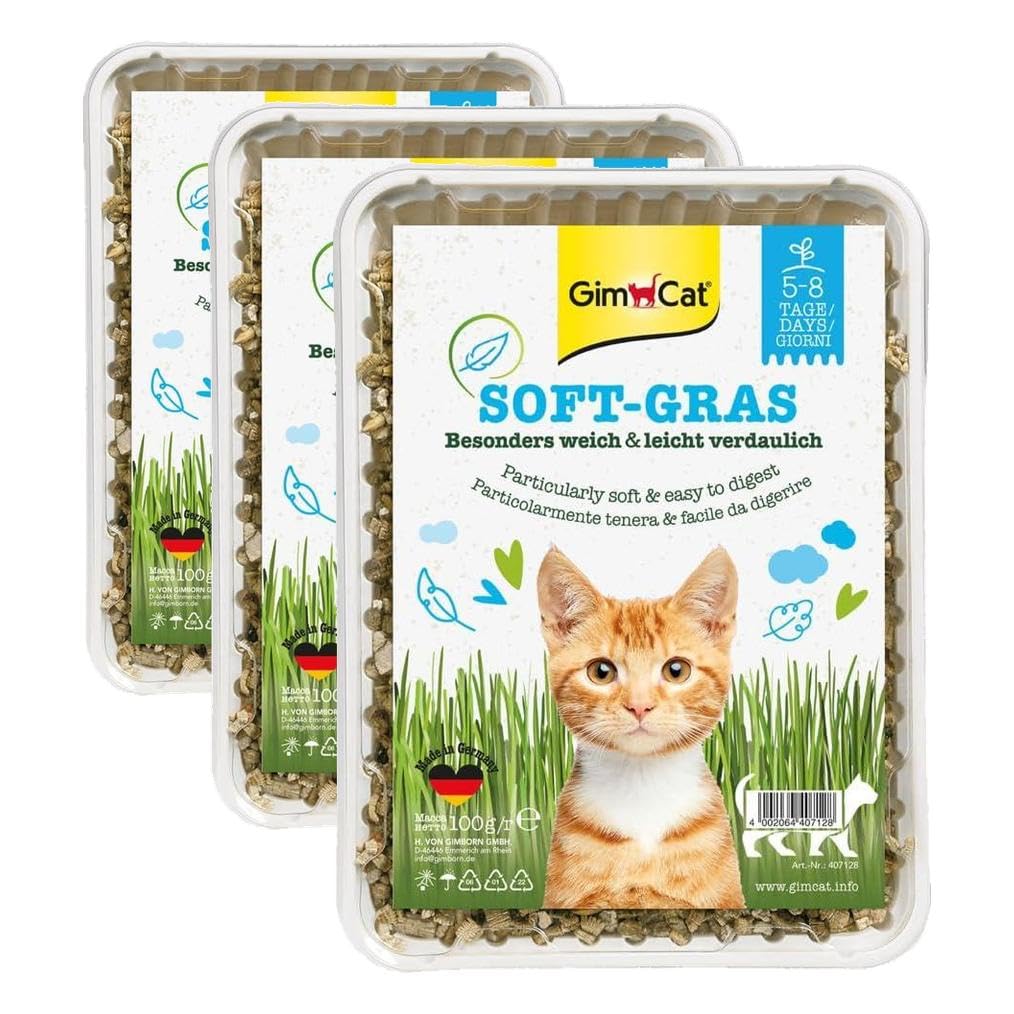gimcat-soft-gras-katzengras-schale-100-g image 7