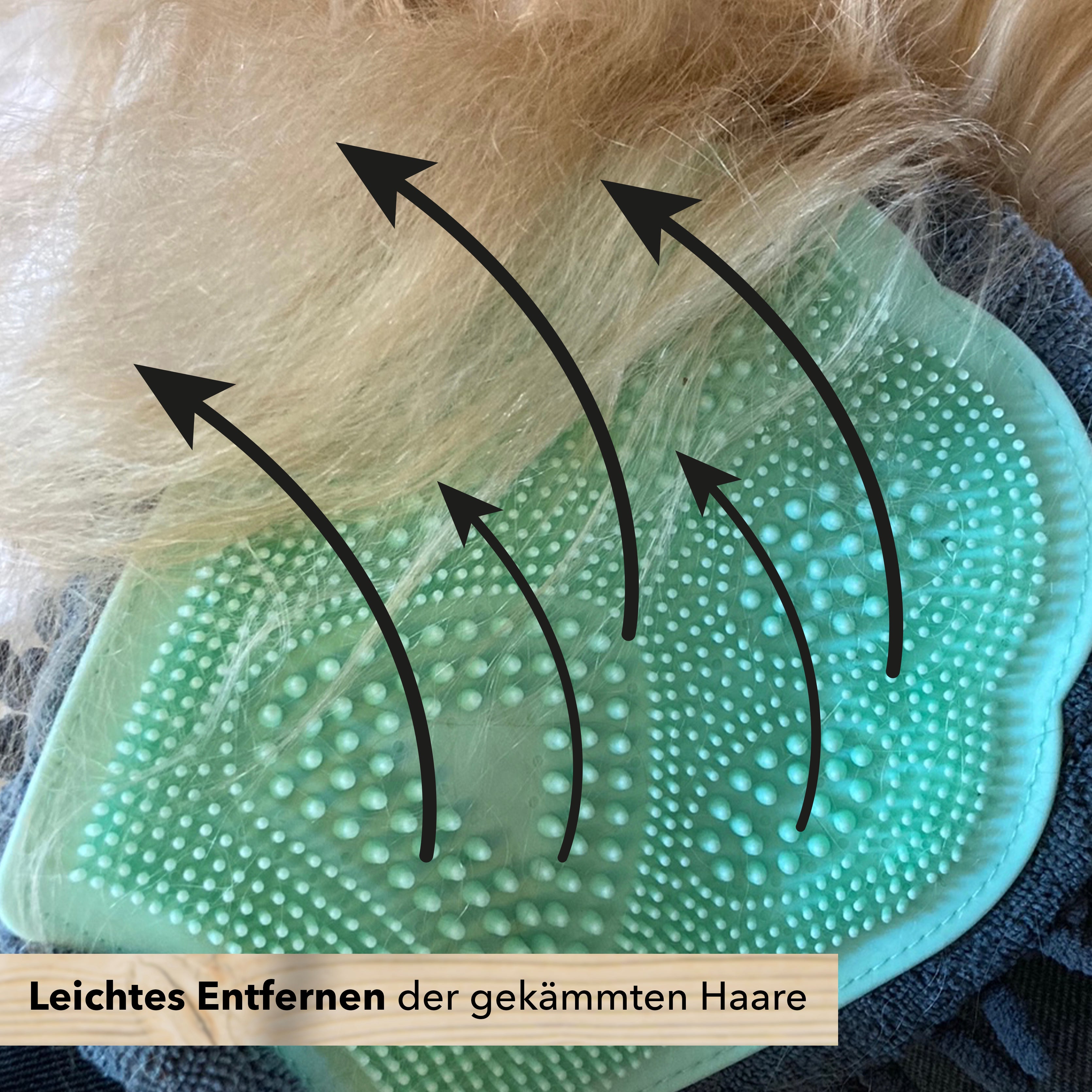 kater-kasimir-fellpflege-handschuh-katzenb-rste-2-in-1 image 3