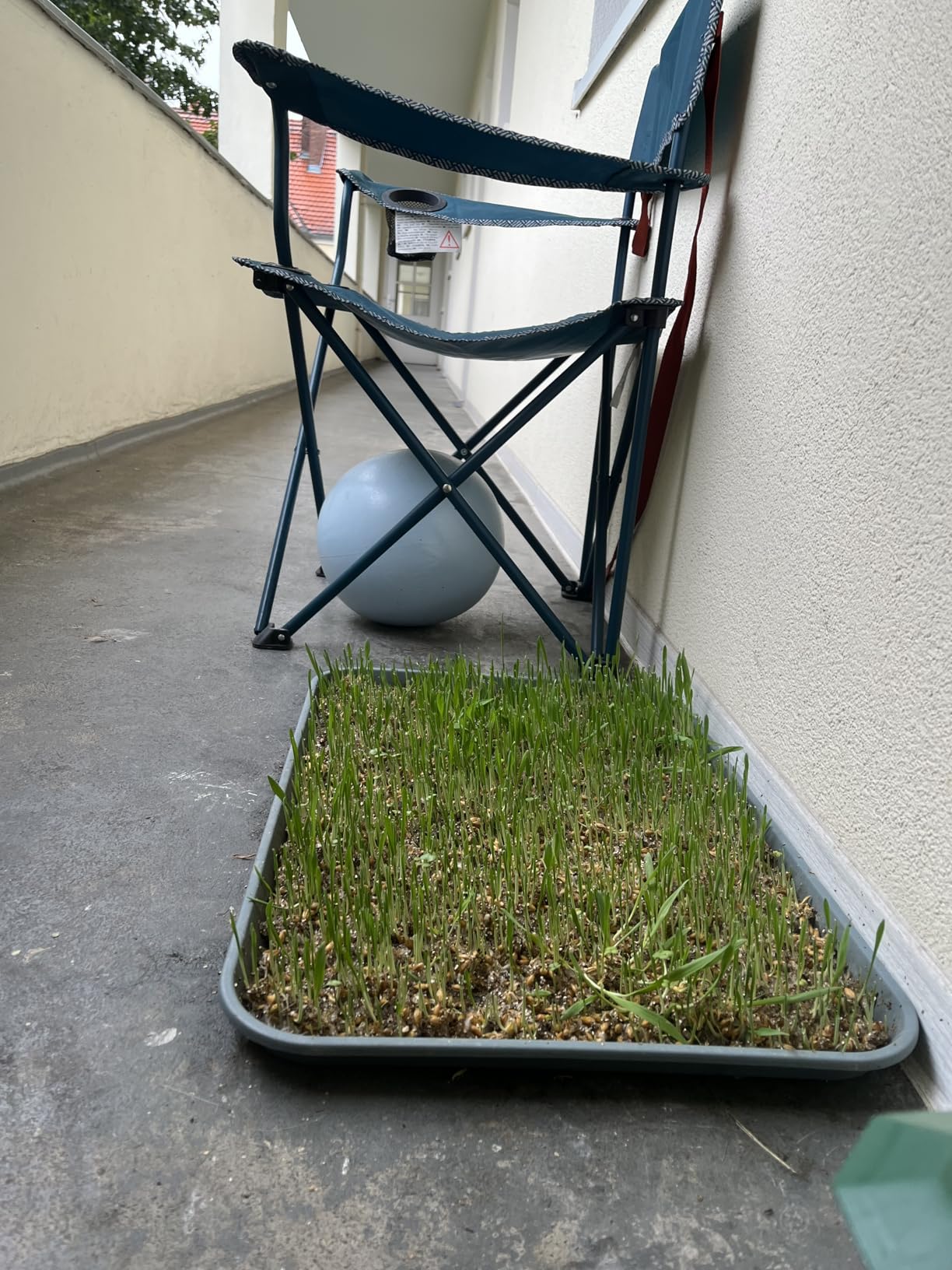 Frisch und ohne Sauerei