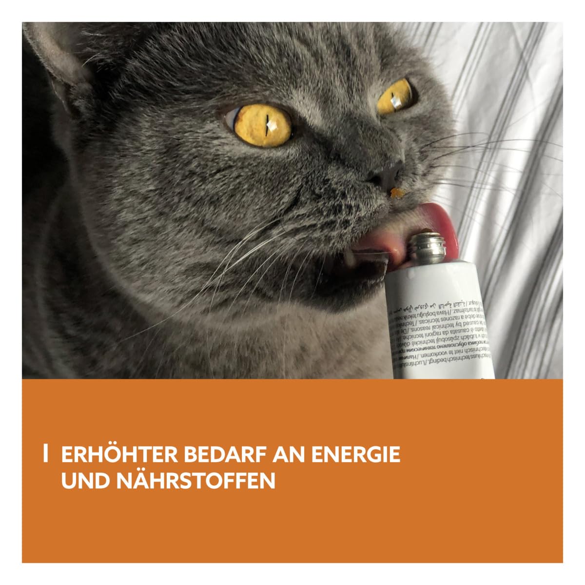 gimcat-expert-line-energy-paste-katzensnack-50-g image 3