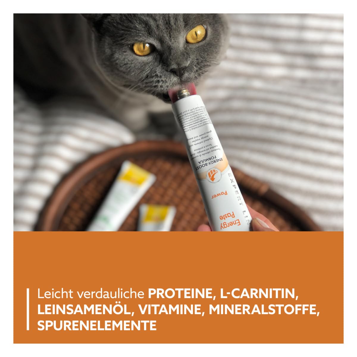 gimcat-expert-line-energy-paste-katzensnack-50-g image 4