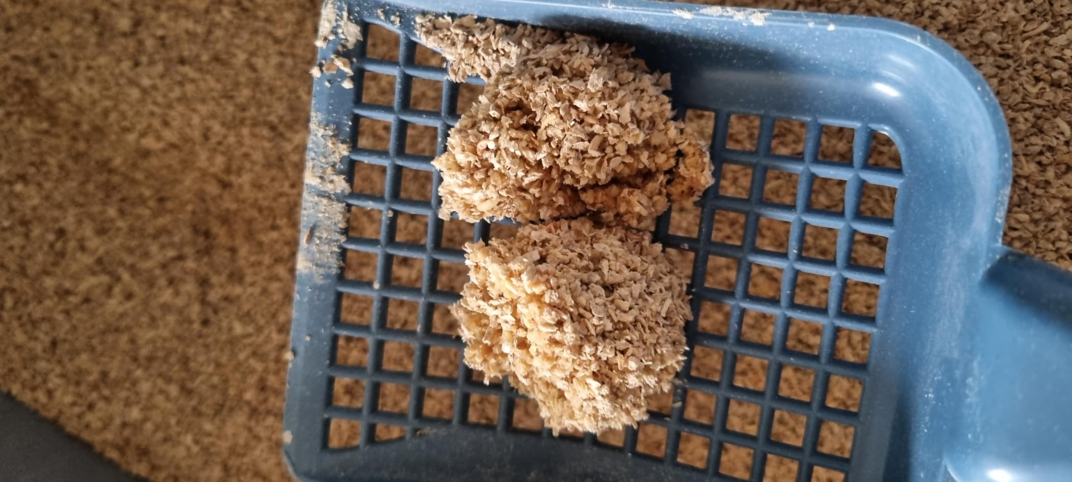 Angenehm für empfindliche Pfoten