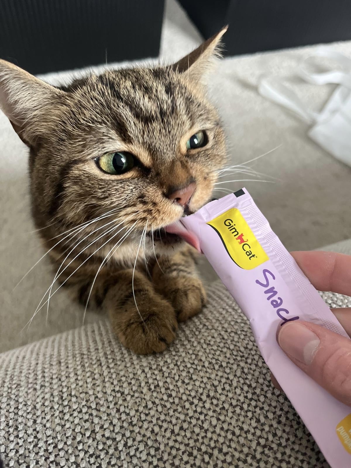 Unsere Katze ist verrückt danach