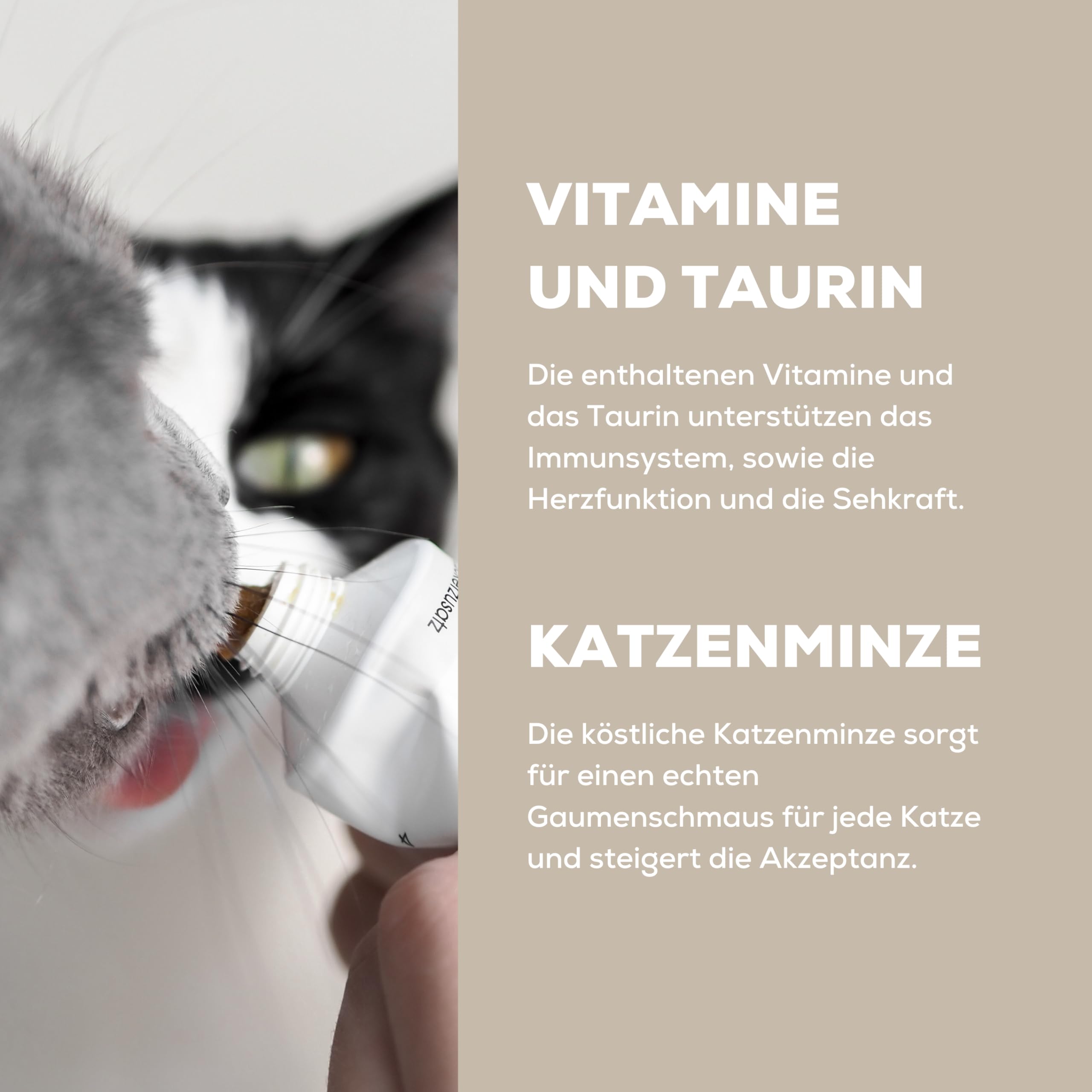 gimcat-x-minty-marla-multi-vitamin-paste-katzenminze-snack-100-g image 4