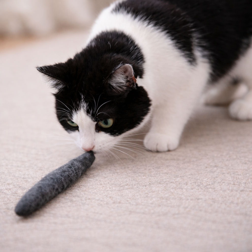 kater-kasimir-3-handgerollte-filzw-rmer-aus-schafwolle image 5